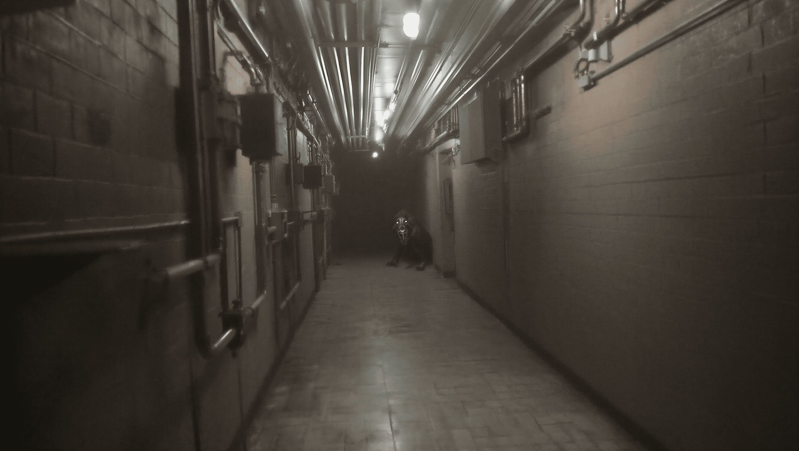 Backrooms Levels, Entities, and Survival Guide